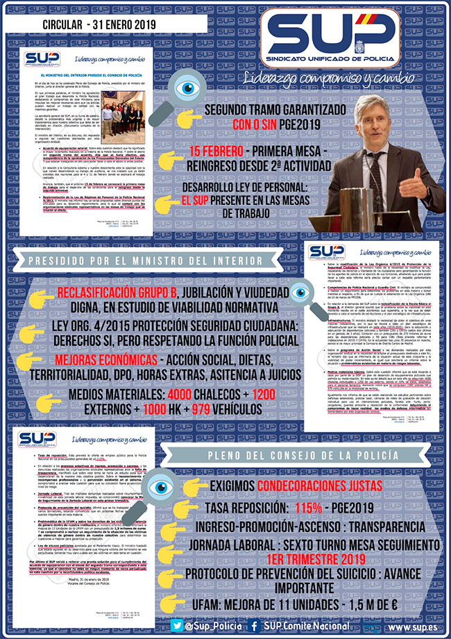 Resumens Consejo de Policía