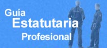 Guia esatutaria profesional